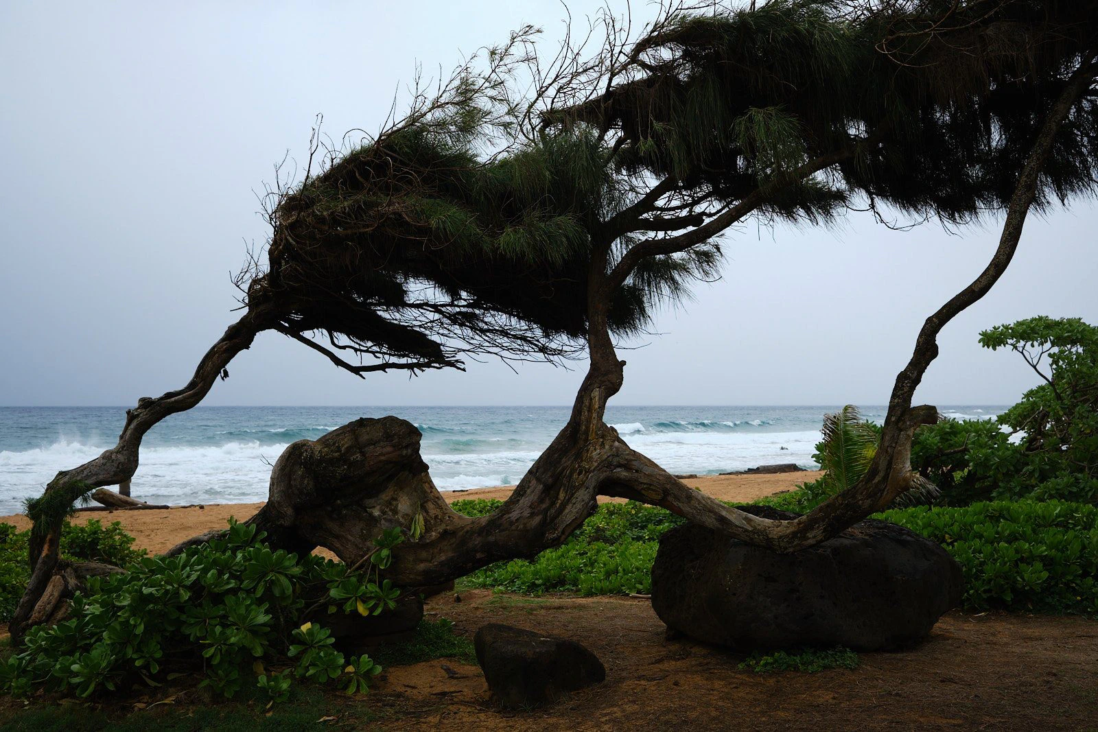 Kauaʻi 2024 photographic series by Chris Beckman, 1-22
