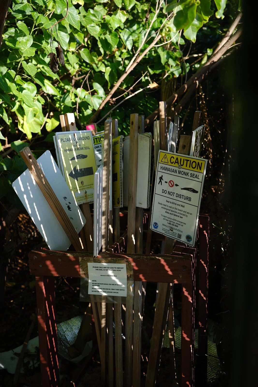 Kauaʻi 2024 photographic series by Chris Beckman, 3-22
