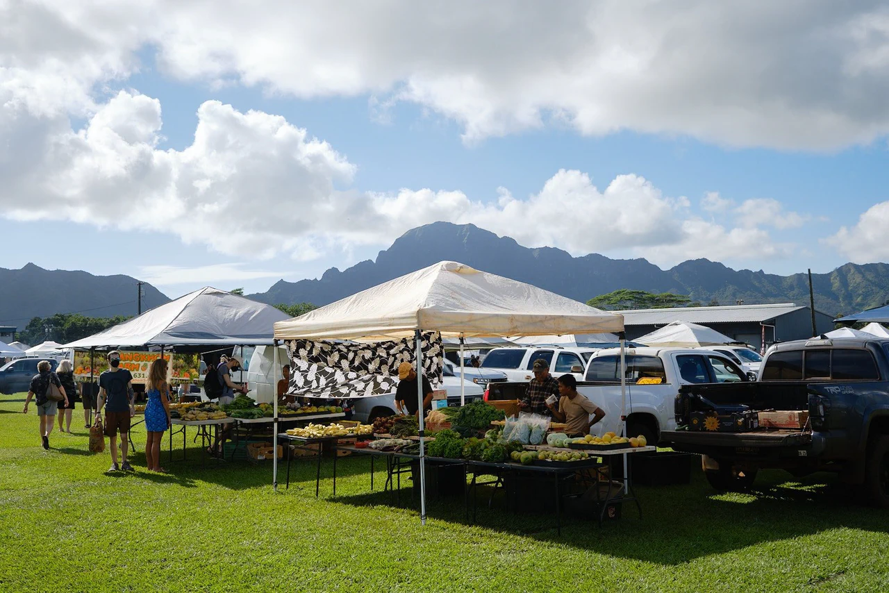 Kauaʻi 2024 photographic series by Chris Beckman, 16-22