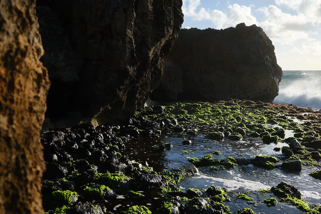Kauaʻi 2024 photographic series by Chris Beckman, 19-22