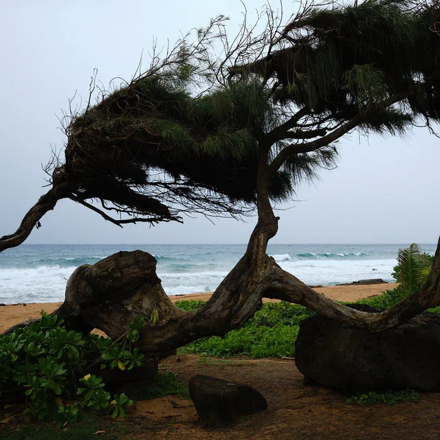 Kauaʻi 2024 cover