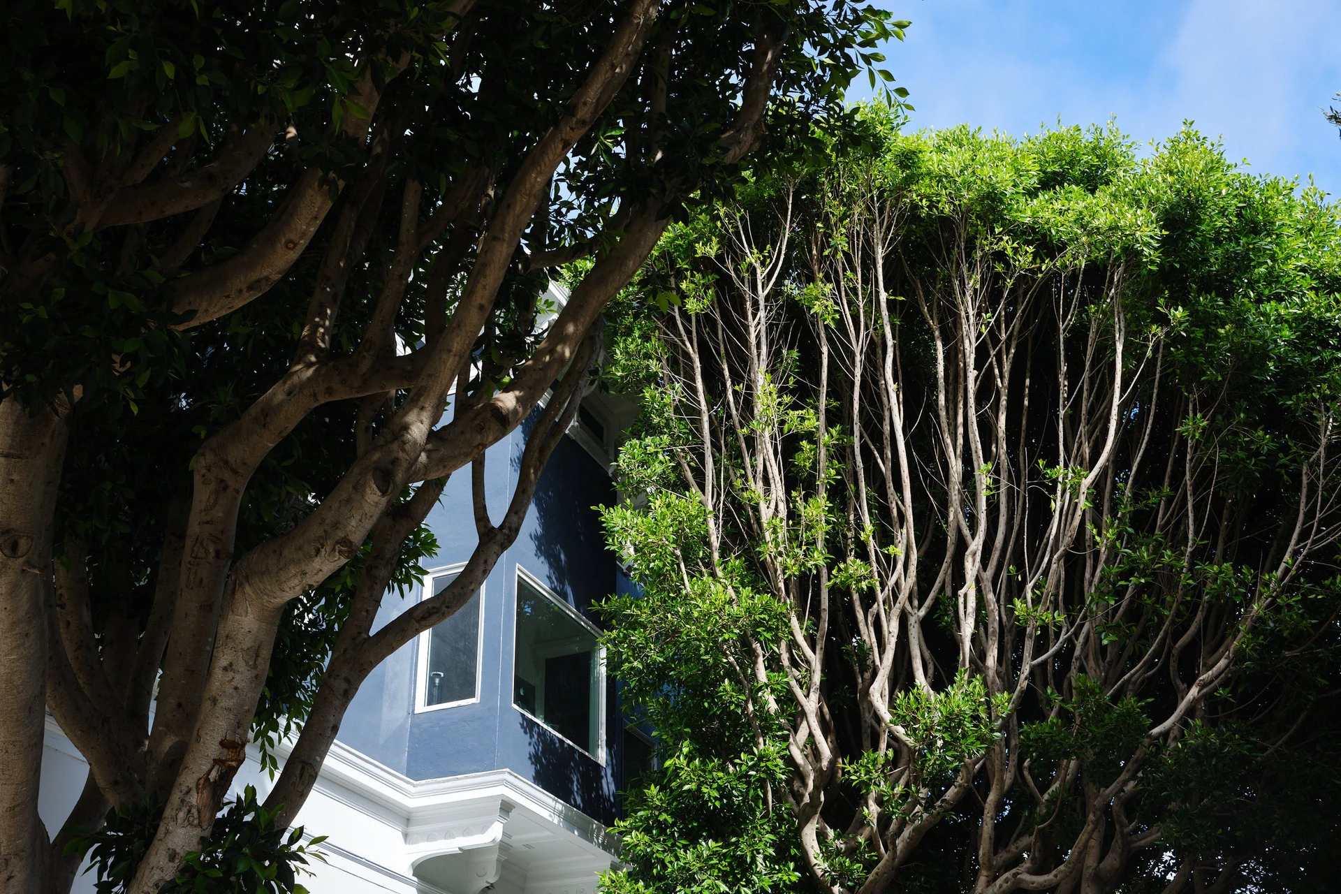 San Francisco 2025 photographic series by Chris Beckman, 4-9