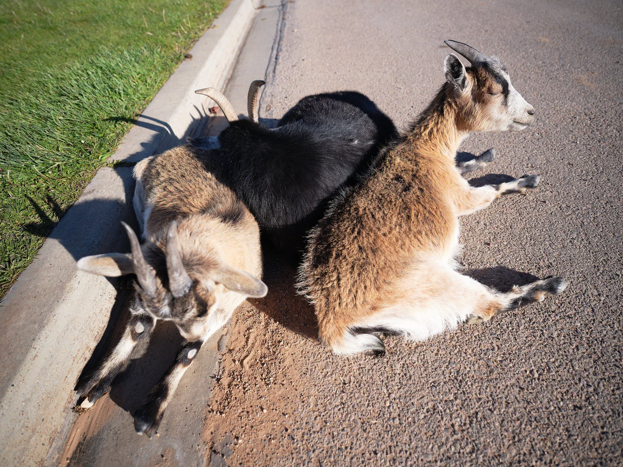 Utah 2025 photographic series by Chris Beckman, 2-12
